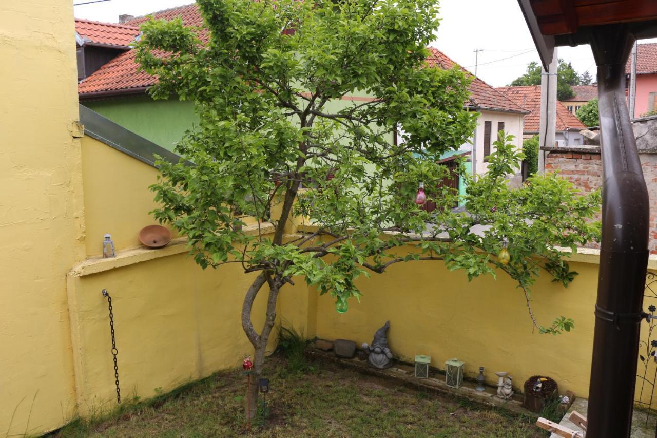 Sokak 8 Apartment Sremski Karlovci